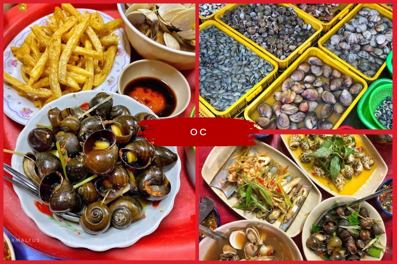Oc Snails Vietnam